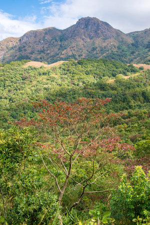 mountain sceneryの写真素材