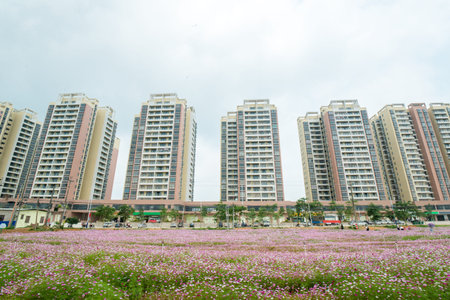 Flowers blooming and building