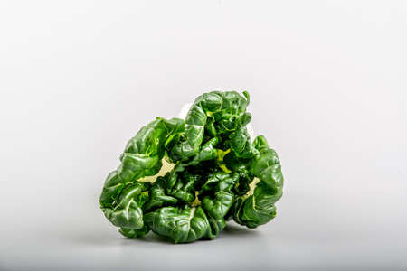 Closeup of a cabbageの写真素材