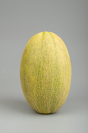 A cantaloupe on gray background