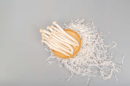 White beech mushroom on gray backgroundの写真素材