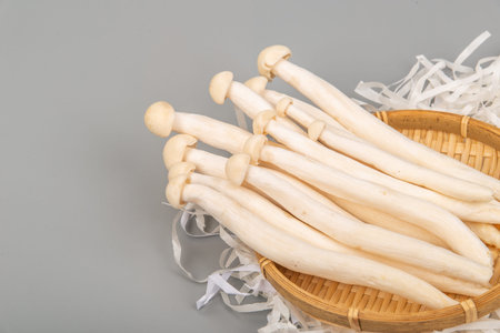 White beech mushroom on gray background