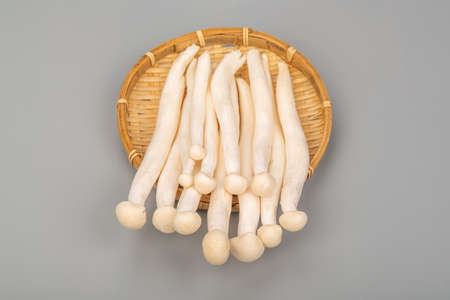 White beech mushroom on bamboo trayの写真素材