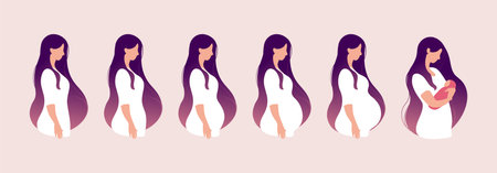 The main stages of pregnancy. Changes in the female body during pregnancy week after week. Set for infographics. Pregnancy Calendar. Flat stock vector illustration.のイラスト素材