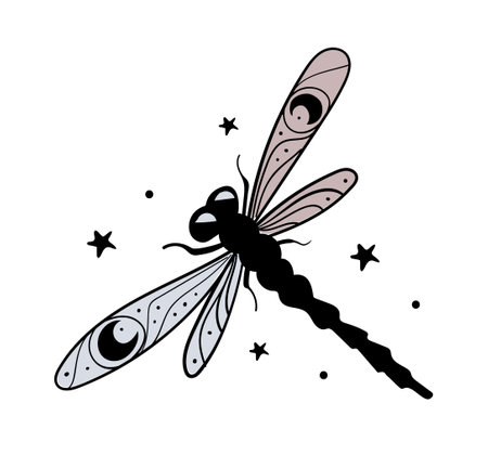 Dragonfly hand drawing with stars and crescent moon, mystical boho tattoo. Silhouette of a beautiful insect with wings, an element for natural design. Vector line illustration isolated on white backgroundのイラスト素材