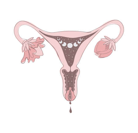 Cosmic uterus, menstruating vagina and blooming ovary, boho illustration with moon phases. Magic vector illustration, sacred female symbol, tantra.のイラスト素材