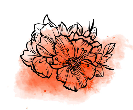 A floral bouquet with large flowers and leaves outlined in black on an orange watercolor background. Botanical linear illustration. Spring nature concept. Vector illustration isolated on a white background.のイラスト素材