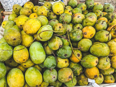Fresh Organic Rustic Mangoes on display, whole background of Mangoes. Varieties of fresh mangoes are sold in summer days.の写真素材