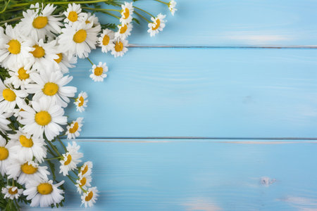 Border of white daisy flowers on a blue wood backgroundの素材