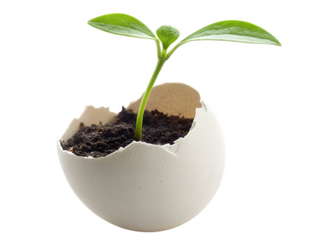 Hopeful sprout emerges from eggshell, symbolizing new beginnings and sustainable growth conceptの素材