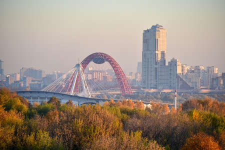 Skyline view to the Khoroshevo-Mnevniki District at dawn.の写真素材