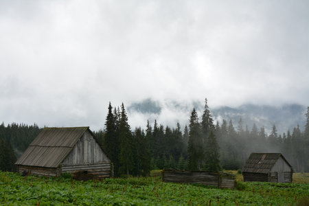 Wooden houses in the mountains. Carpathians, Ukraine.の写真素材