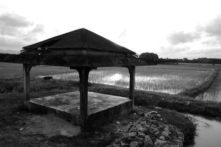 A rundown traditional concrete shelter with a damaged roof stands amid flooded paddy fields, pathway, water channels, and distant trees, captured in high-contrast black and white.の写真素材