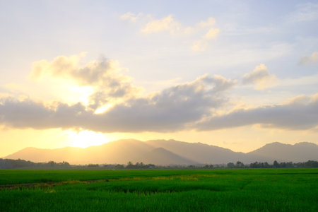 Morning sunbeams pierce through scattered clouds over green rice paddy and distant hills, bathing the landscape in gentle golden light.の写真素材