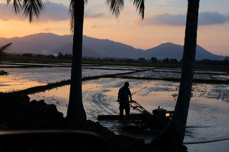 Silhouette of a farmer plowing a wet paddy field at dusk, with palm trees and mountains in the tranquil evening landscape.の写真素材