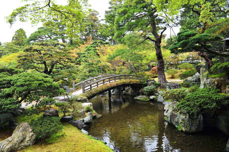 trees and bridge in Japanese zen gardenの写真素材