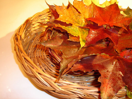 autumn in basketの写真素材