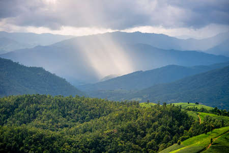 Natural landscape View of rice fields, forest in sunset, mist flowing clouds of rice fields, Pa Bong Biang, Mae Chaem District, Chiang Mai Province, Thailand.の写真素材