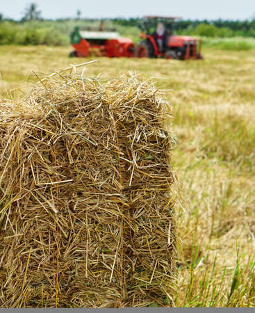 Straw baler in Thailandの写真素材