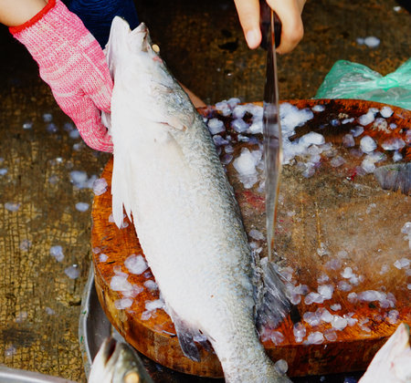 Cutting flesh Tilapia fish for cooking in Thailand