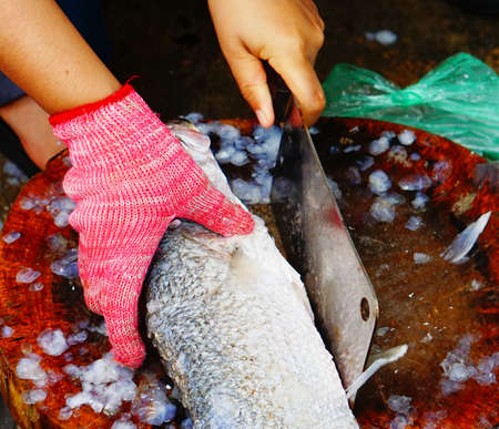 Cutting flesh Tilapia fish for cooking in Thailandの写真素材