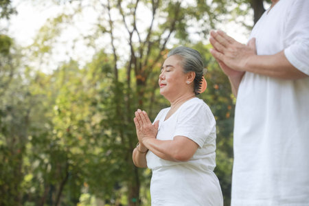 Close-up of an elderly couple doing exercises in the park Do yoga together. The concept of living...