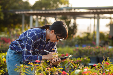 An Asian female farmer works in a plantation plantation. The owner of the garden is checking the...