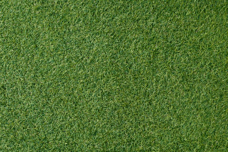 Artificial grass
