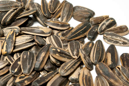 roasted sunflower seedの写真素材