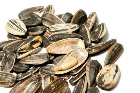 roasted sunflower seedの写真素材
