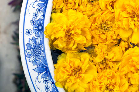 Yellow flowers floating on waterの写真素材