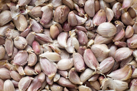 Dry Garlic Pattern using as Backgroundの写真素材