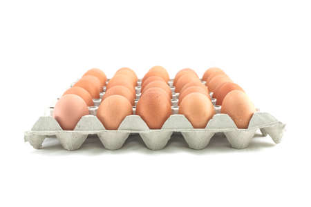 Chicken eggs in a cardboard on whiteの写真素材