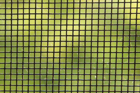 Close up mosquito wire screen