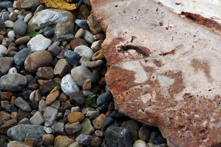 Background of gravel in a gardenの写真素材