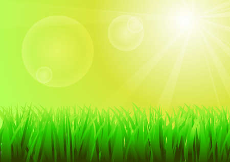 Green grass and sunny skyのイラスト素材