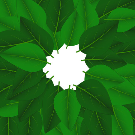 Vector : Green leaves on white backgroundのイラスト素材