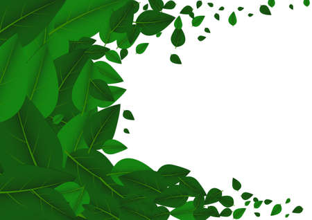 Vector : Leaves float on white backgorundのイラスト素材