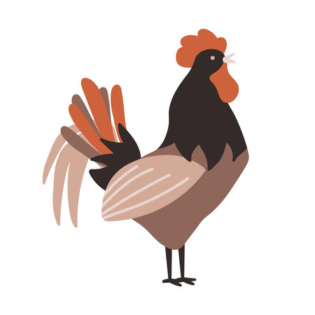 The brown rooster. chicken farm. Cartoon. Cozy vector illustration.のイラスト素材