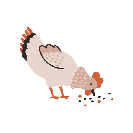 The beige chicken pecks the grains. chicken farm. Cartoon. Cozy vector illustration.のイラスト素材