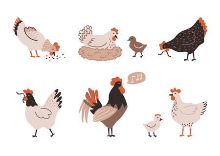 Set of colorful hen, chicken, chick, rooster and nest with eggs. chicken farm. Cartoon. Cozy vector illustration isolated on white background.のイラスト素材