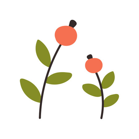 Cute meadow wild flower with berries isolated on white background. cartoon vector illustration. Flower with green leaves and red berries.のイラスト素材