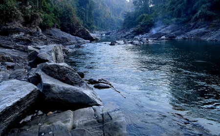 nature