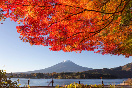 This photo was shot from the area around Mt.Fuji in Autumn. It is time to start snow cap on the top...