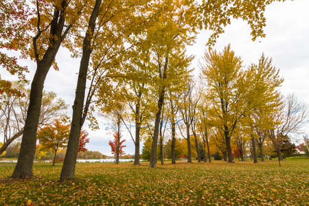 This photo was shot from Ottawa in autumn Canada.の写真素材