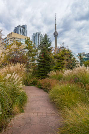 This photo was shot from Toronto city in autumn.のeditorial素材