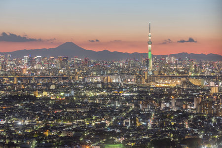 This photo was shot from Tokyo city which is the capital city of Japan. Tokyo is one of the big and busy city in the world but aslo the most beautiful. The japanese also nice.のeditorial素材