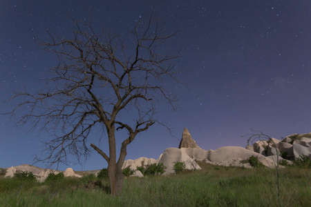 Cappadocia, This photo was shot from Cappadocia which located in the center of Turkey. Cappadocia is an ancient region of Anatolia. The landscape is so beautiful and rich of history.の写真素材