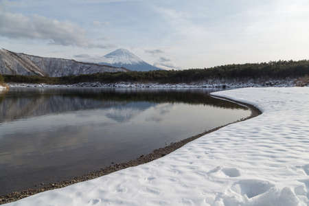 This photo was shot from Saiko Lake which is one of five lake surrounding Mt.Fuji. The snow falls in winter and makes this area cover by the beutiful white color.Mount Fuji Fujisan is with 3776 meters Japan's highest mountain. It is not surprising that the nearly perfectly shaped volcano has been worshiped as a sacred mountain and experienced big popularity among artists and common people throughout the centuries.Mount Fuji is an active volcano, which most recently erupted in 1708. It stands on the border between Yamanashi and Shizuoka Prefectures and can be seen from Tokyo and Yokohama on clear days.の写真素材