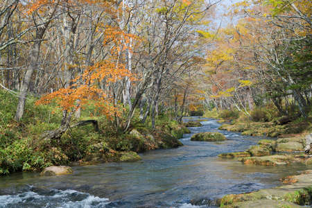 Nikko is well known for its scenic beauty surrounded by natural attractions such as mountains, marshlands, and lakes. It is also very popular for those who love to hiking or trekking. This photo was shot in autumn.の写真素材